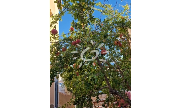 Resales - Villas - Benitachell / El Poble Nou de Benitatxell - Cumbre del Sol