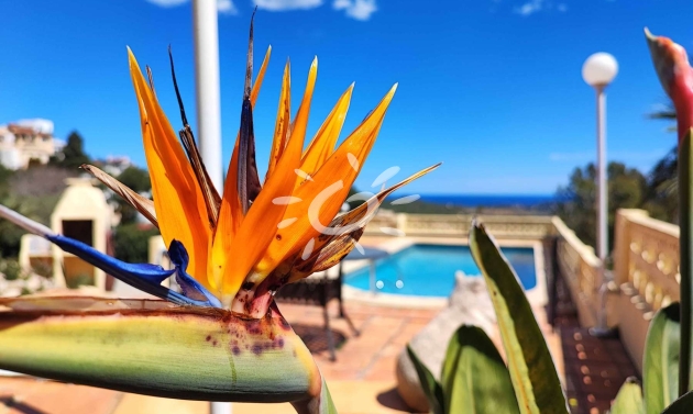 Resales - Villas - Benitachell / El Poble Nou de Benitatxell - Cumbre del Sol