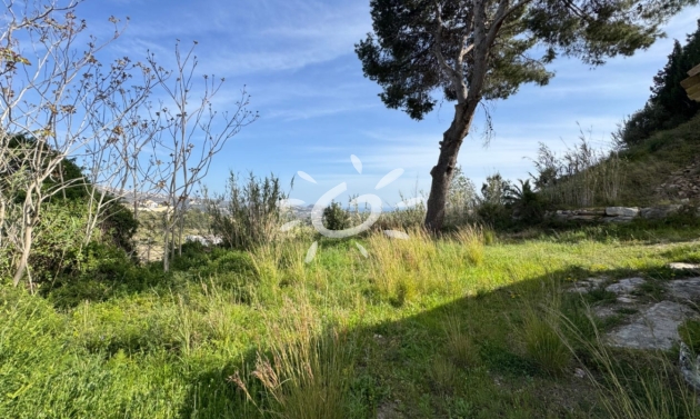 Bestaande woningen - Landhuizen - Fincas - Teulada - Teulada Centrum