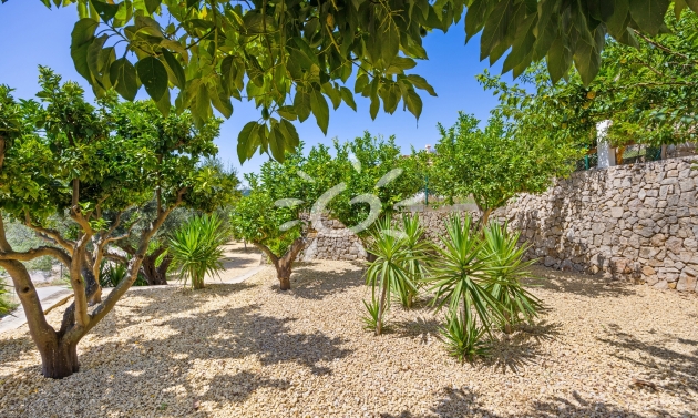 Resales - Villas - Oliva - Oliva pueblo