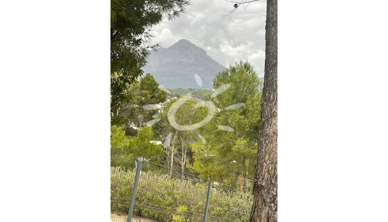 Liegenschaften - Grundstücke und Bauland - Jávea / Xàbia - Cap Martí - El Tossalet - Pinomar
