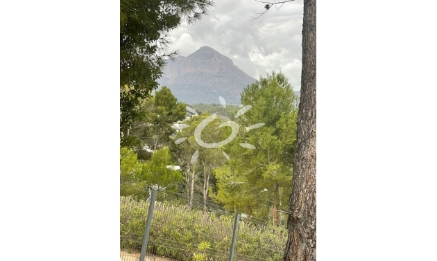 Liegenschaften - Grundstücke und Bauland - Jávea / Xàbia - Cap Martí - El Tossalet - Pinomar