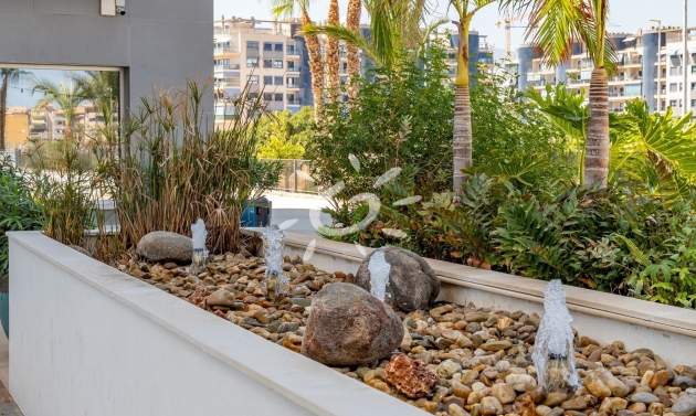 Liegenschaften - Apartments - Wohnungen - Villajoyosa