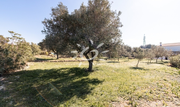 Reventas - Fincas - Casitas de Campo - Teulada - Partida Canor