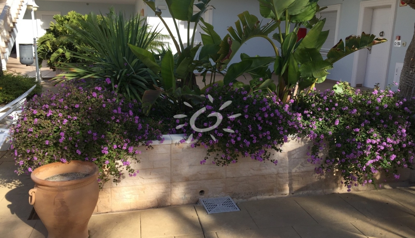 Resales - Apartments - Flats - Benissa - La Fustera