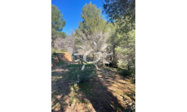 New Builds - Plots of Land - Benissa - Cala Advocat