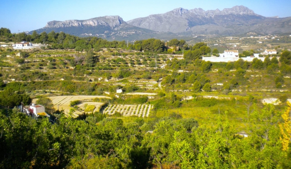 Parcelas y Terrenos - Reventas - Benissa - Partida Llenes