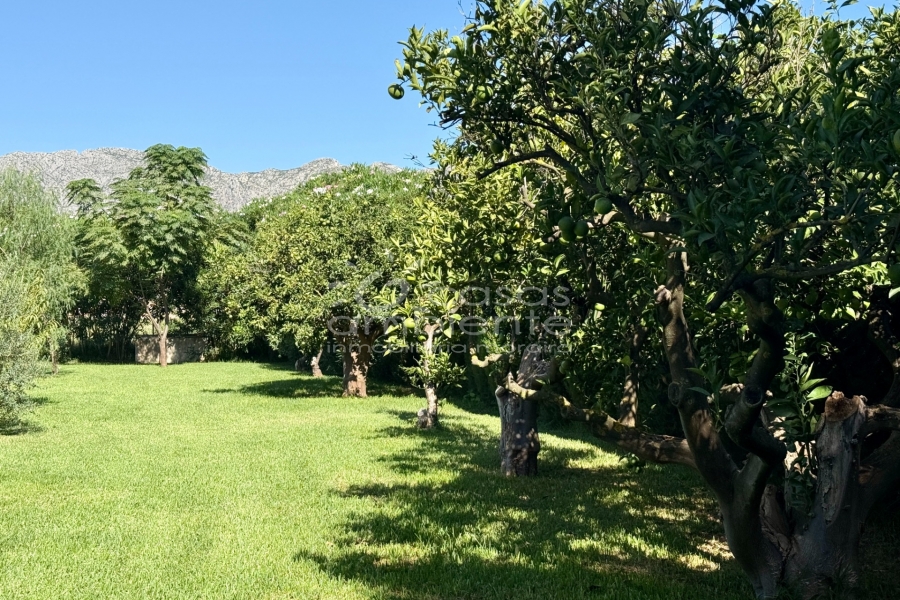 Liegenschaften - Villen - Denia