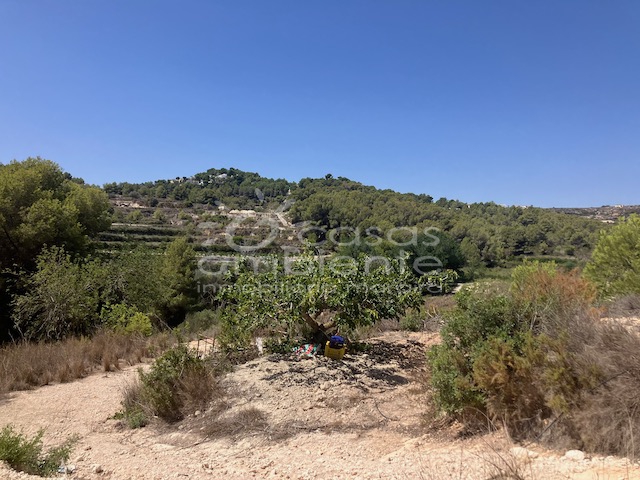 Reventas - Parcelas y Terrenos - Teulada