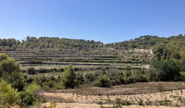 Parcelas y Terrenos - Reventas - Teulada - Teulada