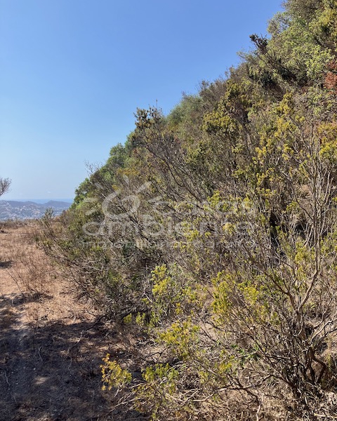 Resales - Plots of Land - Teulada - Castellons Vida