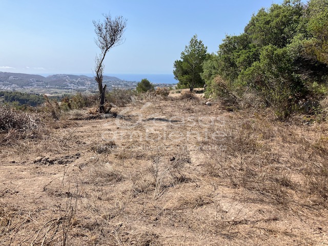 Reventes - Propriétés et Terrains constructibles - Teulada - Castellons Vida