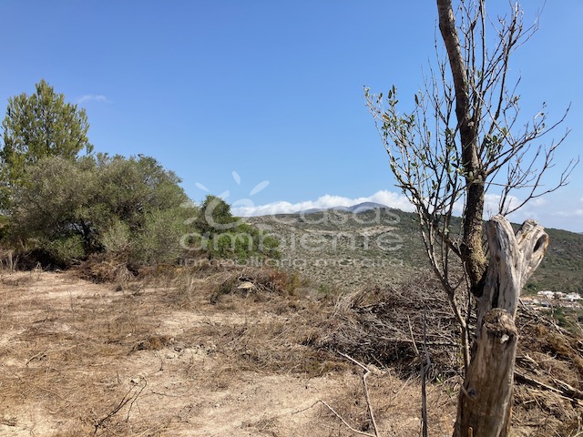 Resales - Plots of Land - Teulada - Castellons Vida