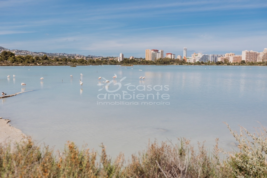 Reventas - Apartamentos - Pisos - Calpe - Calpe Centro